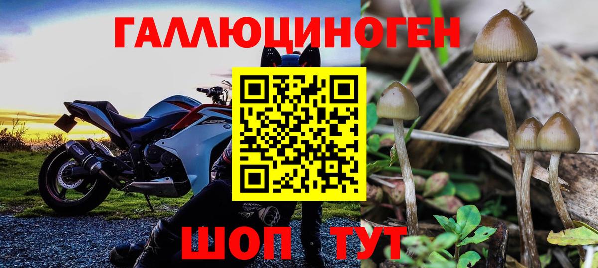 Галлюциногенные грибы мухоморы Великие Луки