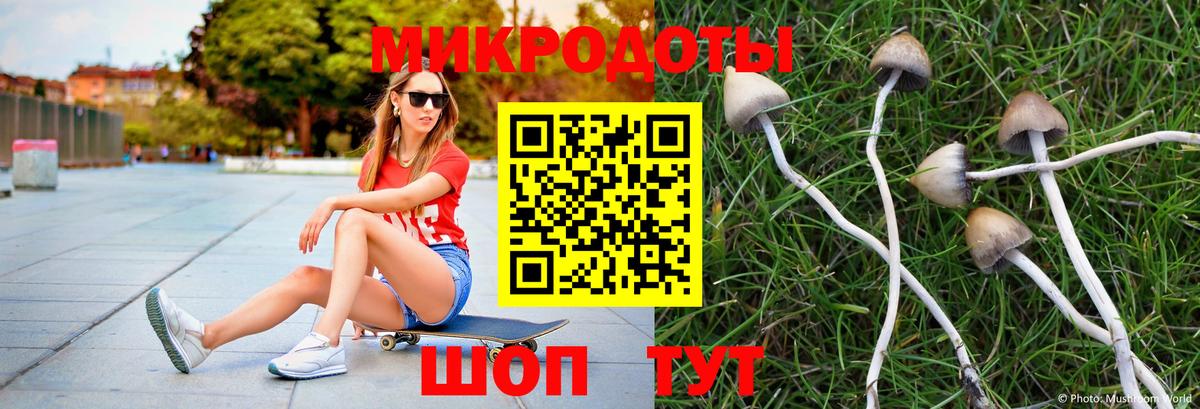 Псилоцибиновые грибы мухоморы  Вход с VPN  Великие Луки 