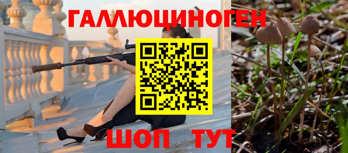 Псилоцибиновые грибы Cubensis Великие Луки